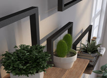 Load image into Gallery viewer, 21 Stories Wall Floating Shelves (Set of 4) (6754613657786)