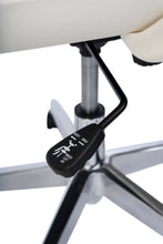 Load image into Gallery viewer, Workex Office Chair With Aluminum Base (6757283987642)
