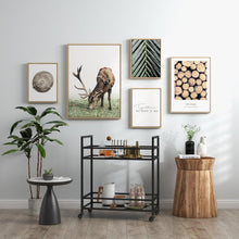Load image into Gallery viewer, Glassara,, Rolling Bar Cart – 2‑Tier Mirror Shelves, Spill‑Guard Rails, Locking Casters, Satin Black Metal Frame
